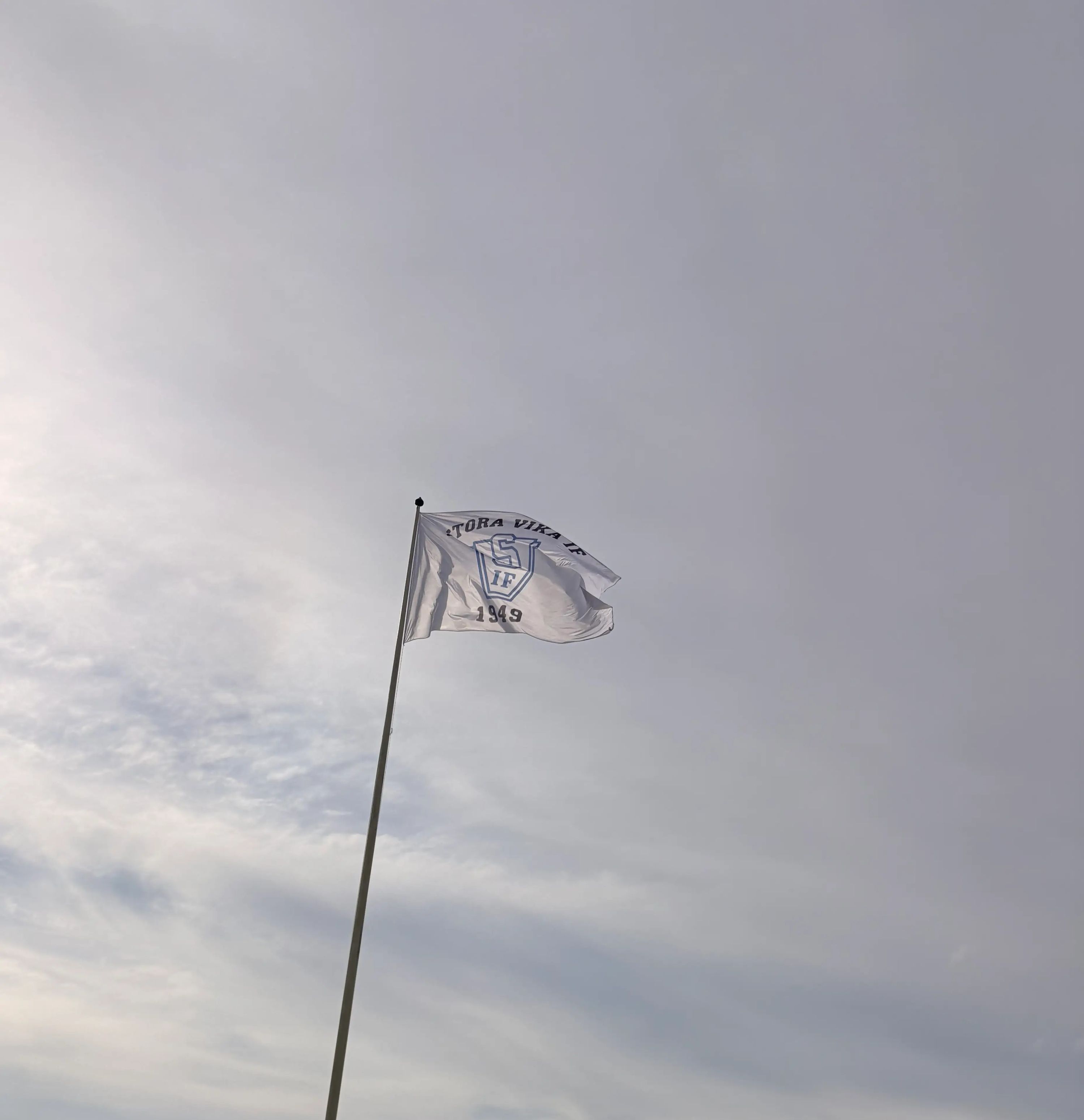 Reklamflagga - Eget Mått