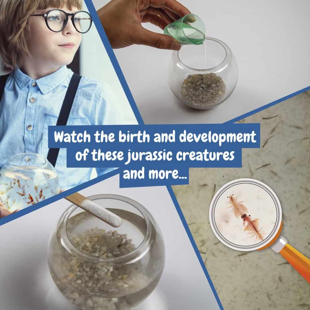 Jurassic Pets Kit II. Pedagogiskt spel levereras med en presentpåse av kraftpapper (115 g/m²), gjord av FSC™-certifierat material och andra kontrollerade material