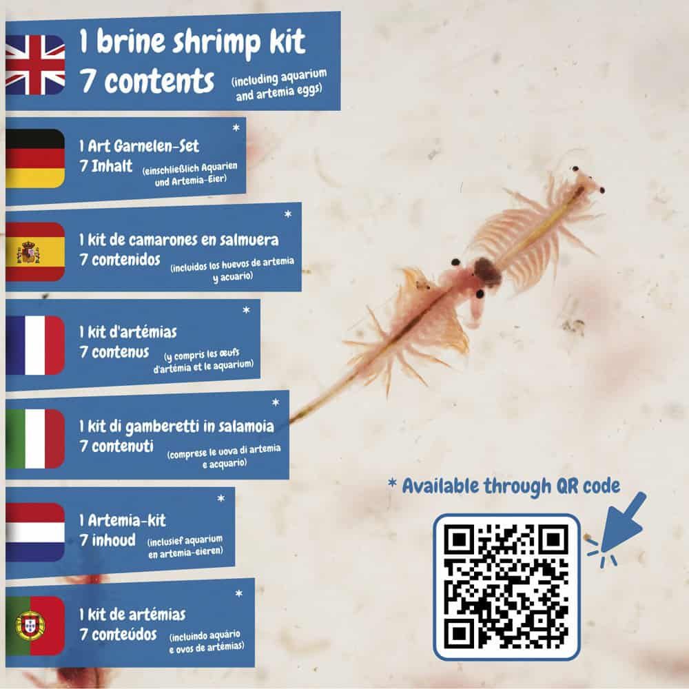 Jurassic Pets Kit III. Pedagogiskt spel levereras med en presentpåse av kraftpapper (90 g/m²)