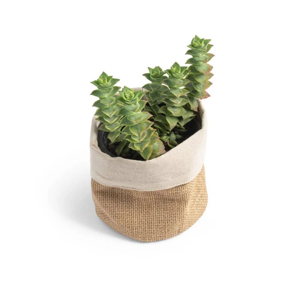 DUCASSE. Väska för flera användningsområden i jute (260g/m²) och bomull (120g/m²)