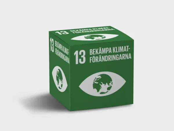 Globalt Mål 13 – Bekämpa klimatförändringarna – profilreklam med tryck från ExpoTryck