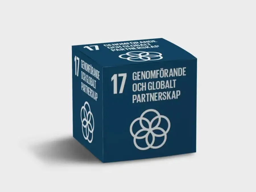 Globalt Mål 17 – Genomförande och Globalt Partnerskap