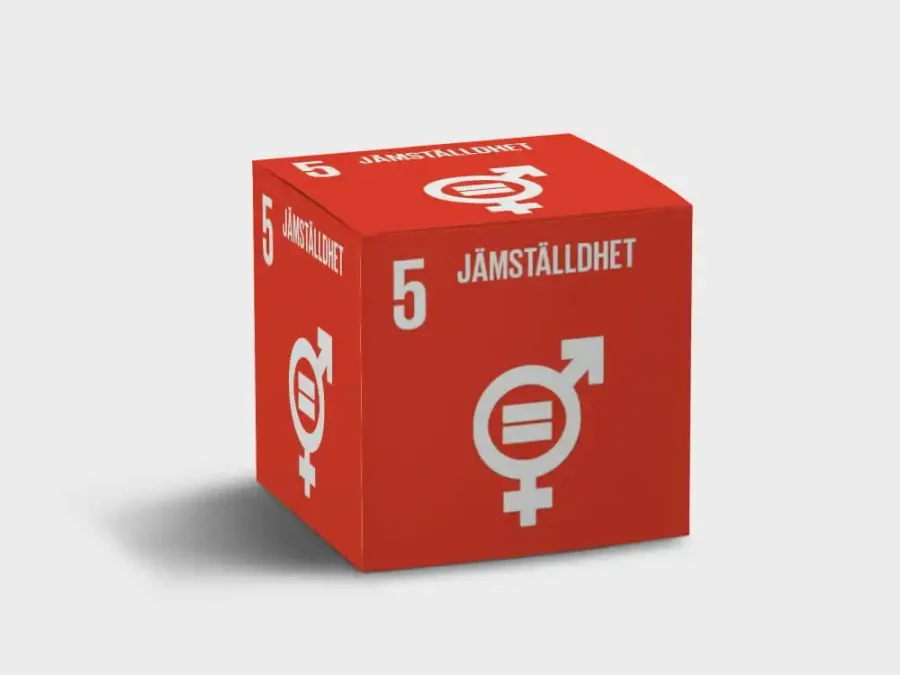 Globalt Mål 5 – Jämställdhet