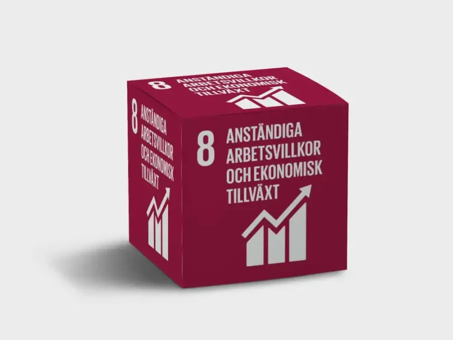 Globalt Mål 8 – Anständiga arbetsvillkor och ekonomisk tillväxt