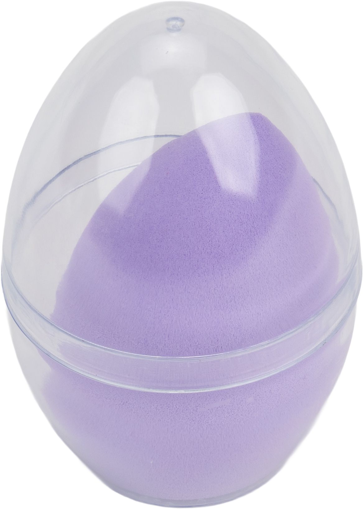 Makeup sponge case with sponge