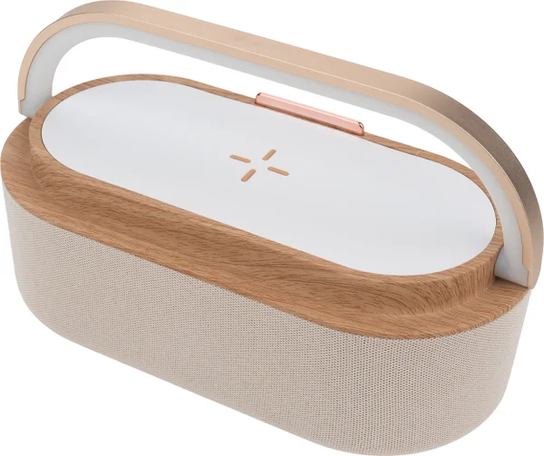Bluetooth-högtalare LIMASSOL MoLu – profilreklam med tryck från ExpoTryck
