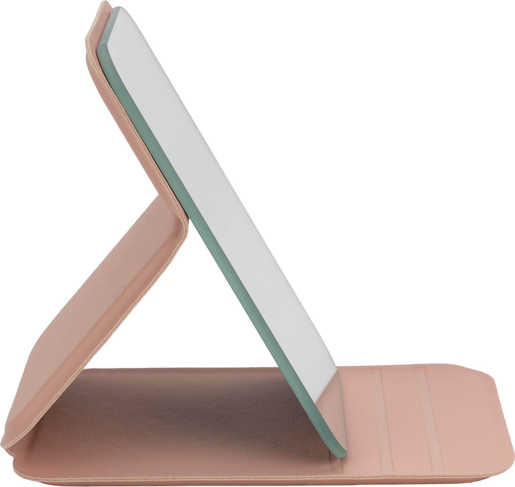 Mirror in a case