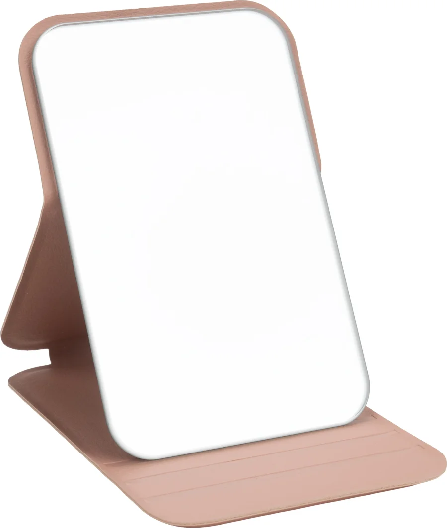 Mirror in a case