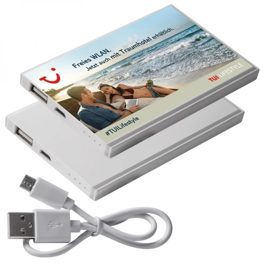 Powerbank 2200 mAh PINEVILLE