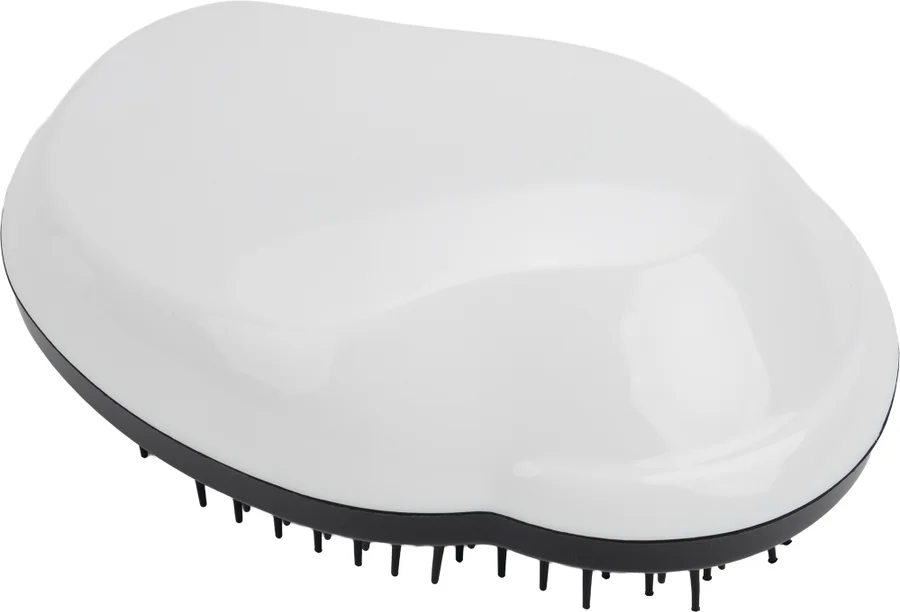 Hair brush